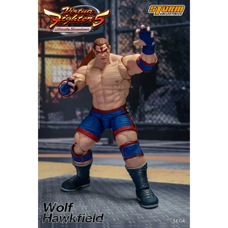 1:12 Scale Action Figure Virtua Fighter 5 - Wolf Hawkfield 1
