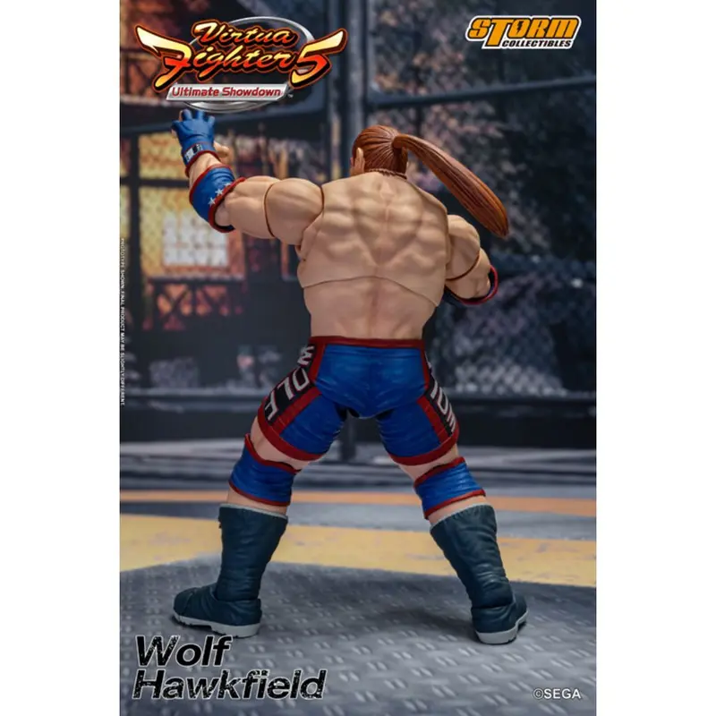 1:12 Scale Action Figure Virtua Fighter 5 - Wolf Hawkfield 2