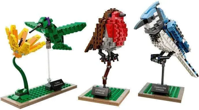 Lego Birds 21301 Ideas 1