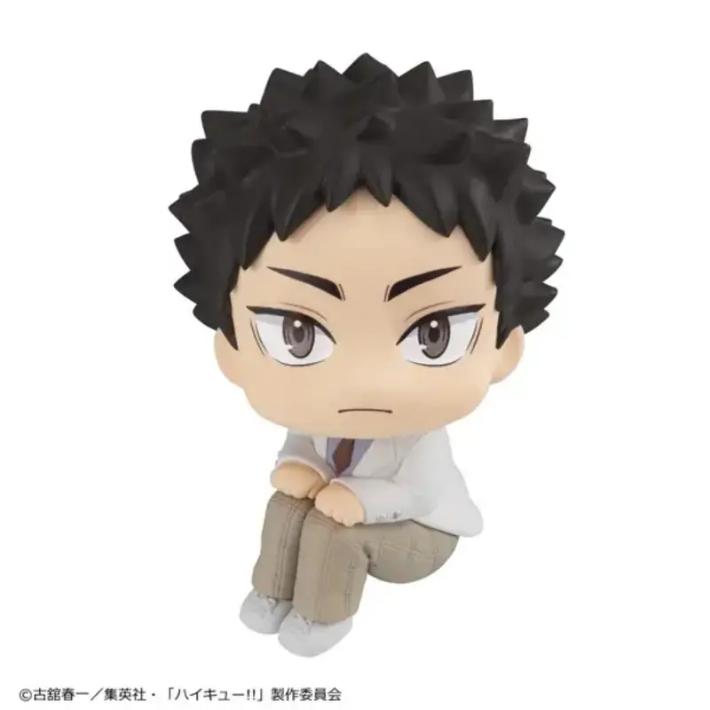 Lookup Haikyu!! - Hajime Iwaizumi 1