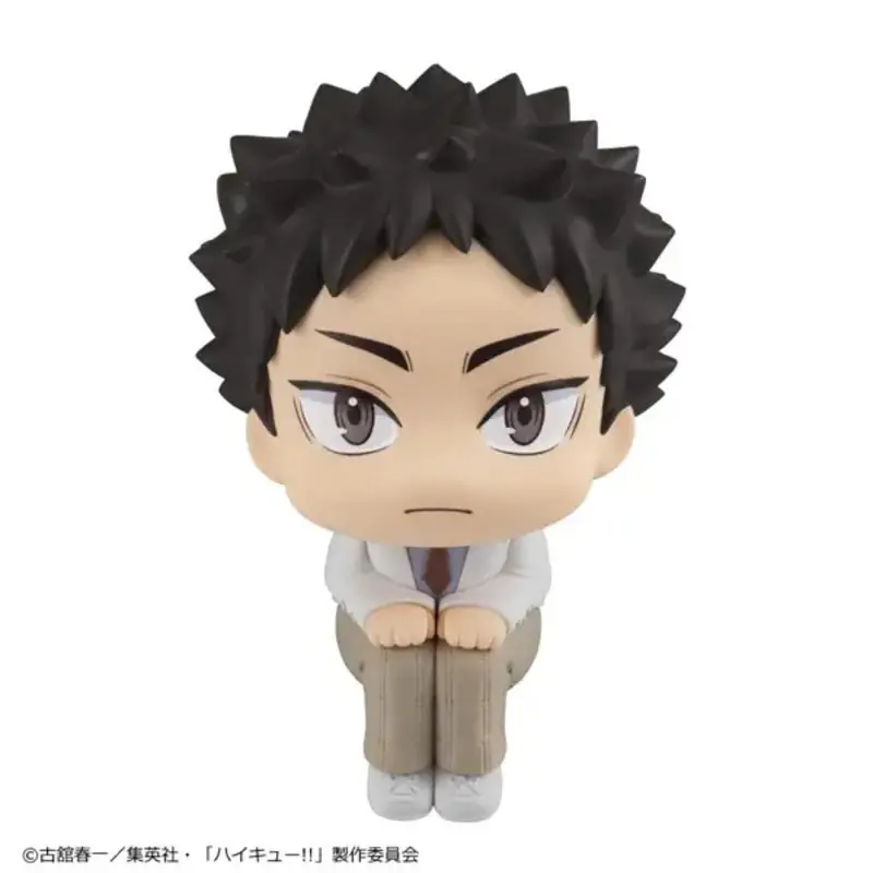Lookup Haikyu!! - Hajime Iwaizumi 2