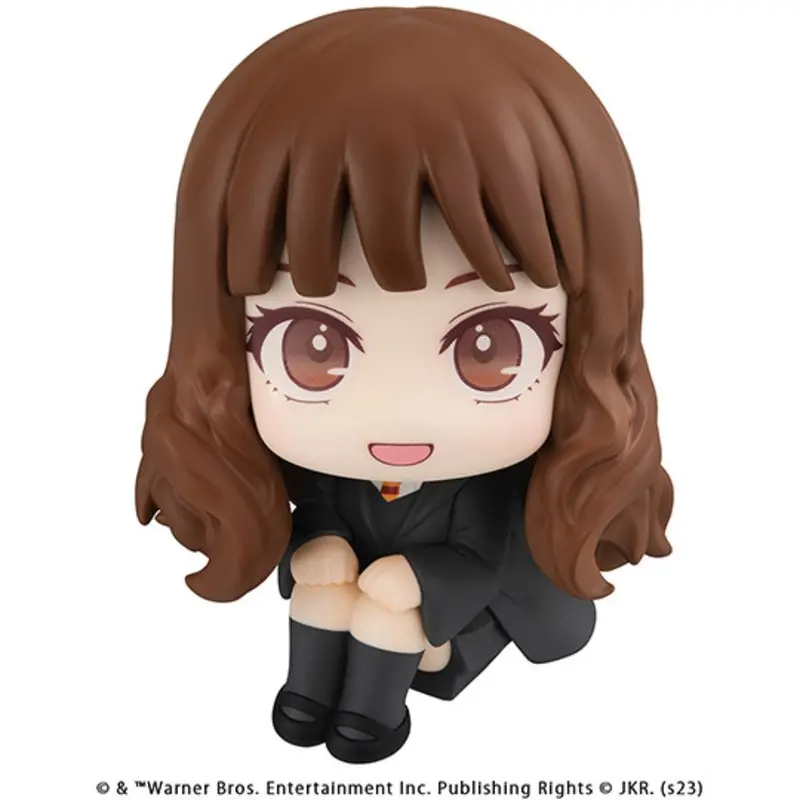 Lookup Harry Potter - Hermione Granger 1