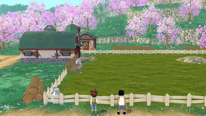 Nsw Story Of Seasons: A Wonderful Life (Chn) 2