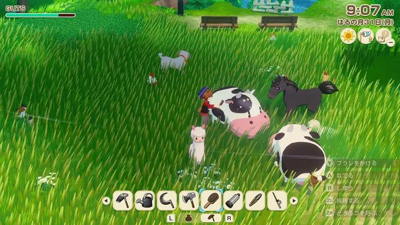Nsw Story Of Seasons: Grand Bazaar (M18) 3