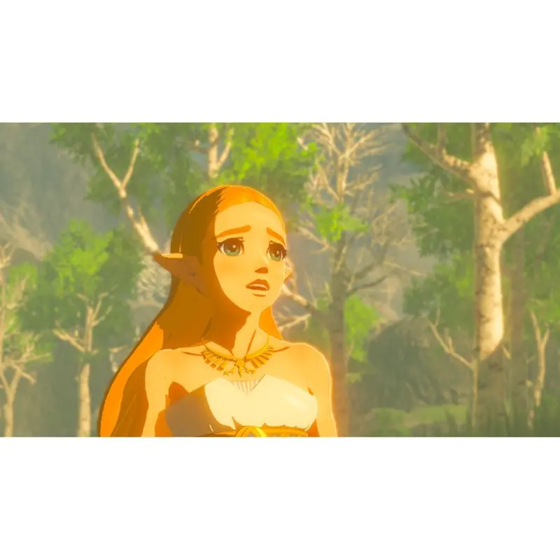 Nsw The Legend Of Zelda: Breath Of The Wild 2