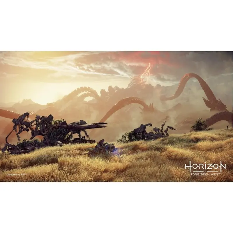 Ps4 Horizon Forbidden West 3