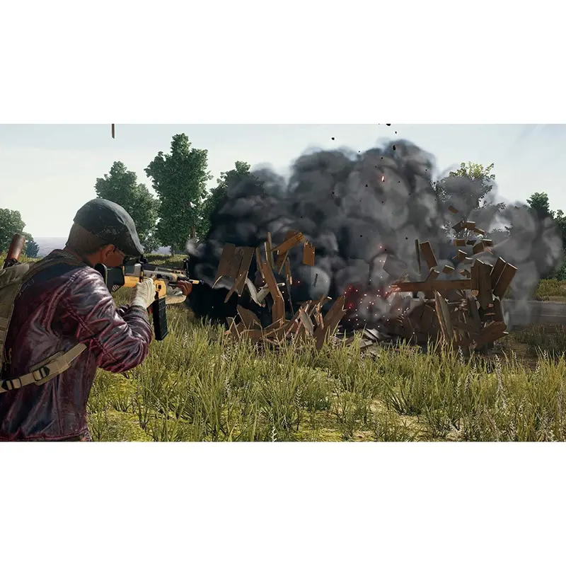 Ps4 Playerunknown's Battlegrounds 2