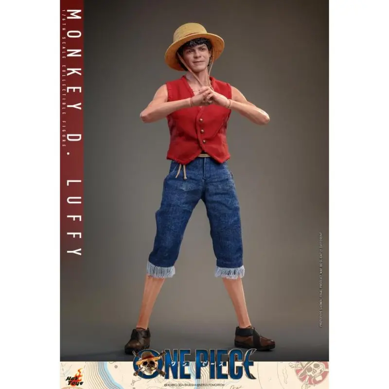 Tms109 One Piece - 1/6 Monkey D. Luffy 1