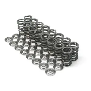 Brian Crower Dual Valve Spring & Titanium Retainer Kit For Nissan Sr20Ve Engines 1