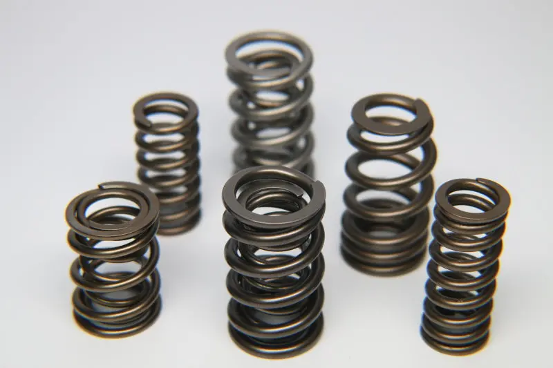 Ferrea Outer Valve Spring Set With Damper For Gm Small-Block V8 Engines (16-Piece) 1